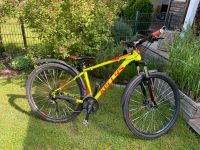 29“ Mountainbike Kellys Spider 30 Baden-Württemberg - Maulburg Vorschau