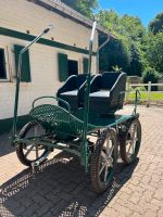 Marathon Kutsche Wagen Pferdekutsche Zweisitzer Einspänner Niedersachsen - Osterode am Harz Vorschau