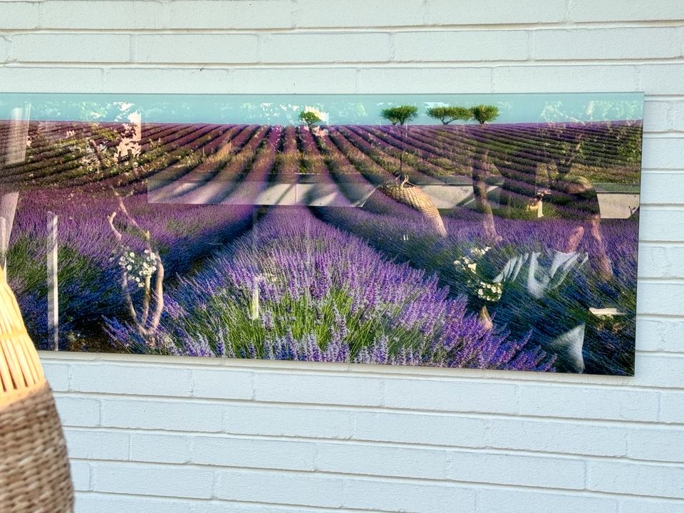 Glasbild Lavendel 125x50, Lavendelfeld Bild Glas in Flensburg