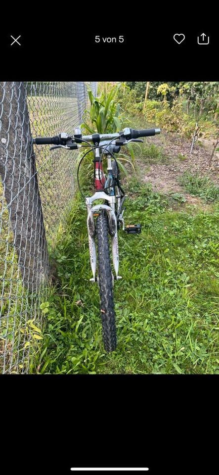 Fahrrad 24zoll in Denzlingen