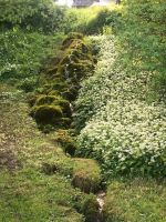 Gartenwohnung o. Haus zur Miete gesucht Bayern - Penzberg Vorschau