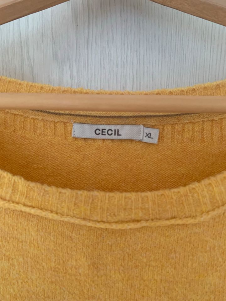 Gelber Cecil Pullover in Größe XL in Ammersbek