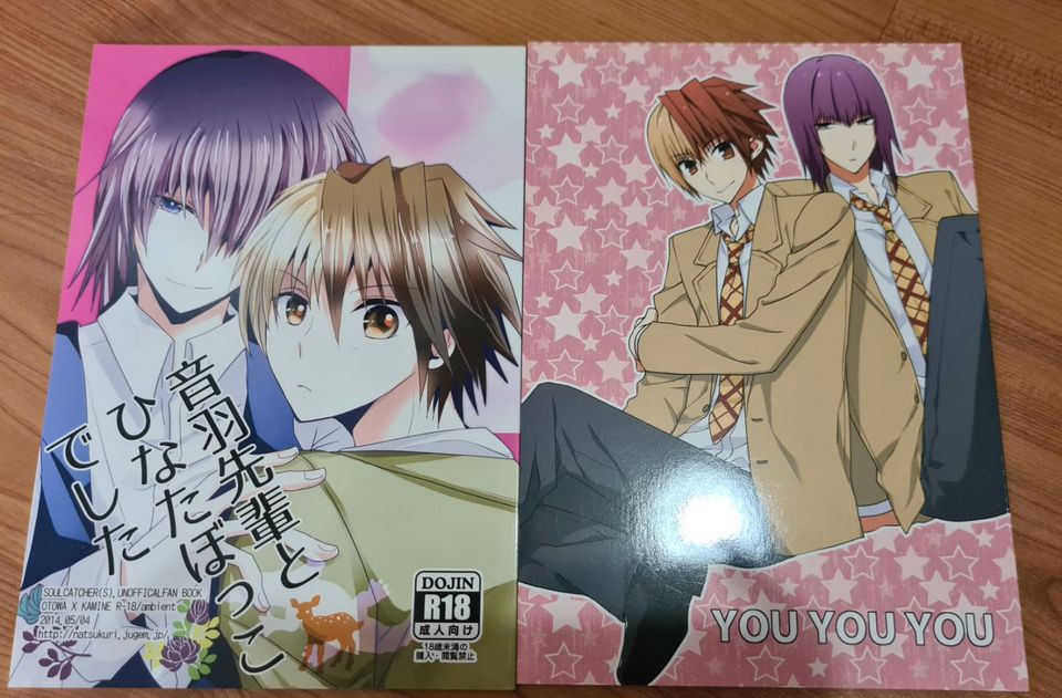 Diverse Doujinshi BL Boys Love Yaoi in Berlin