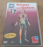 DVD Was ist was - Körper und Gehirn Essen-West - Frohnhausen Vorschau