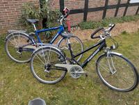 2x Pegasus Trekking Fahrräder*Top Zustand* Niedersachsen - Thedinghausen Vorschau