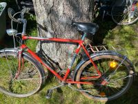 Retro,Rixe,Rixe Fahrrad, Bike, Rennrad,Oldschool Bayern - Waltenhofen Vorschau