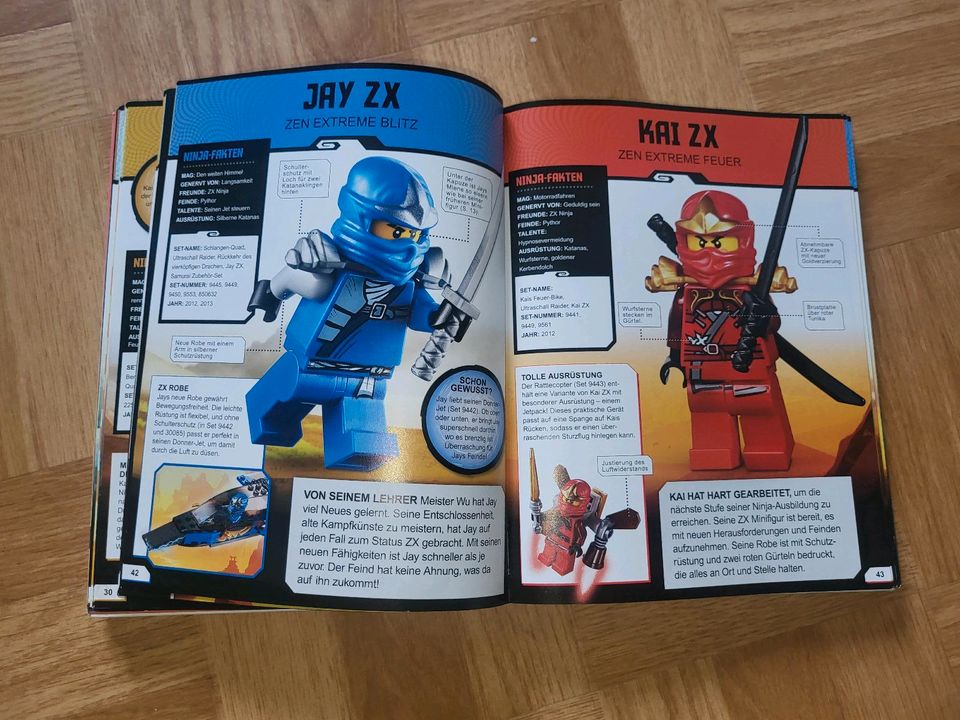 Lego Ninjago Lexikon und Sammelkarten in Bleialf 