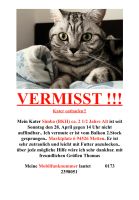 Katze/Kater Simba Vermisst seit 28.04 Finderlohn !! Bayern - Metten Vorschau