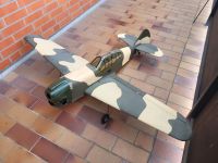 P 40 Warhawk Flugzeug RC Modell 1,60m Spannweite Niedersachsen - Soltau Vorschau