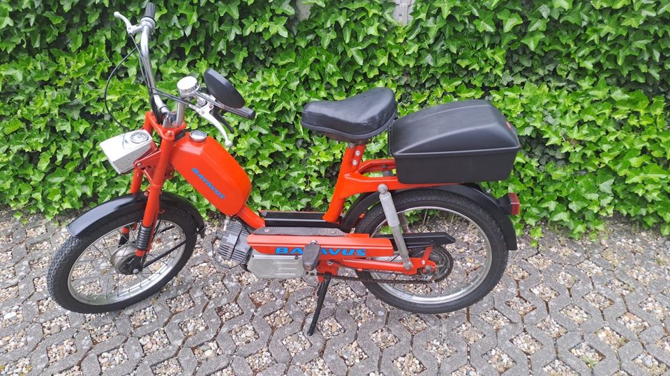 Batavus Pronto 40 in Philippsburg