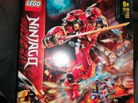 Lego Ninjago 71720 Sachsen-Anhalt - Ballenstedt Vorschau