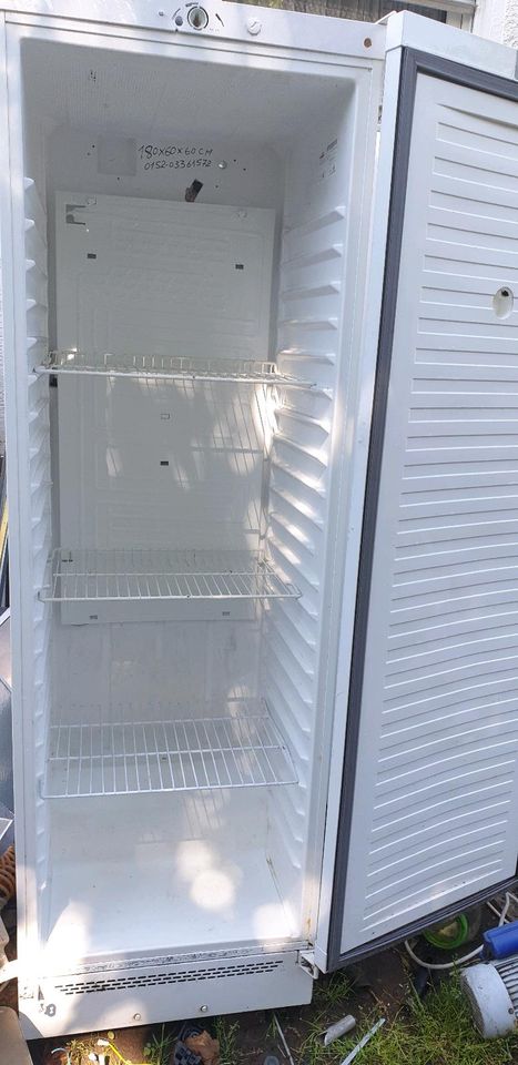Gastronomie kühlschrank. Nord Cap Transport  möglich in Ginsheim-Gustavsburg