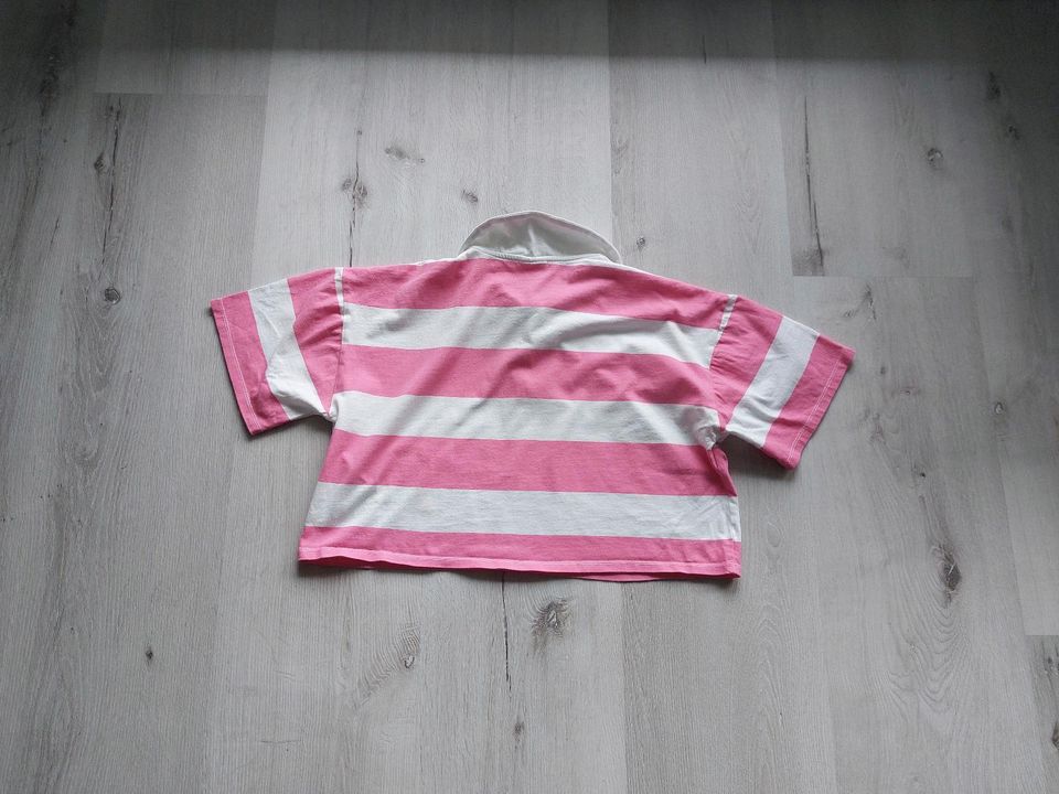 T-Shirt/Polo, rosa-weiß gestreift, Gr. 164, Zara in Großenseebach