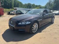 Jaguar XJ Premium Luxury*Motorschaden*TOP Zustand* Niedersachsen - Stelle Vorschau