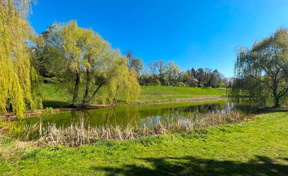 EXKLUSIVE GRÜNDERZEITVILLA-- für 1 bis 3 Parteien- am Park- mit traumhaftem Parkblick in Berlin