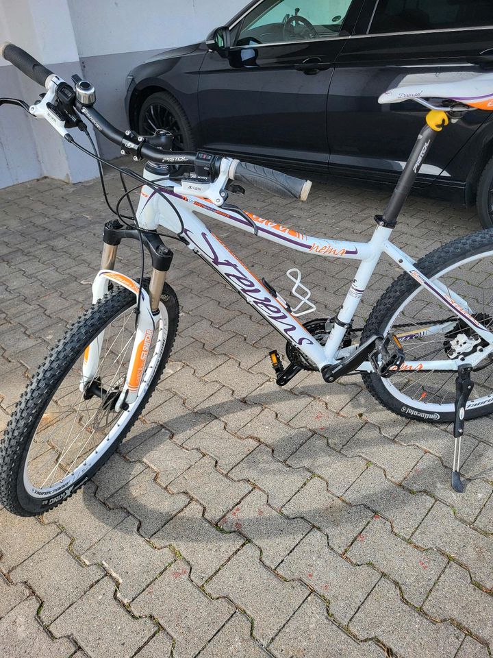 Damen Fahrrad Mountain Bike, 26 Zoll Stevens, 24 Gänge in Waldshut-Tiengen