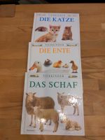 Tier-Buch Set Tierkinder die Katze die Ente das Schaf Thienemann Nordrhein-Westfalen - Kamen Vorschau