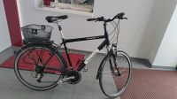 Herrenrad 28 Zoll Prophete Star Touring Aluminium Schleswig-Holstein - Itzehoe Vorschau