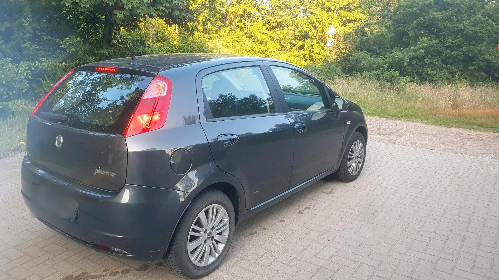 Abbildung des Autos Fiat punto 1.2