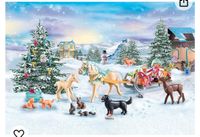 Playmobil Adventskalender neu 71345 Wandsbek - Gartenstadt Vorschau