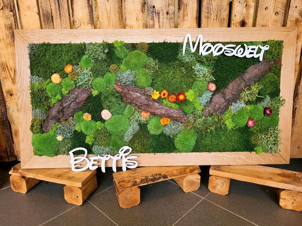 ❤️ Ab 109€ Anfertigung Moos Moosbild Bollenmoos Flachmoos in Saarbrücken