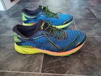 Asics DynaFlyte Laufschuhe Ultralight Bunt Herren 45 Np.169,95€ Niedersachsen - Braunschweig Vorschau