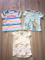 3er Set Mädchen T Shirts Gr 86 Tiere bunte Streifen Giraffe Eimsbüttel - Hamburg Lokstedt Vorschau