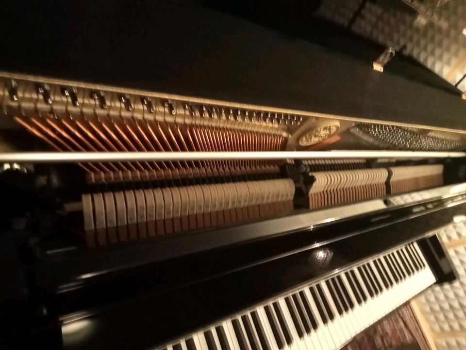 Kawai K 200, Akustik Klavier, Piano in Obersontheim