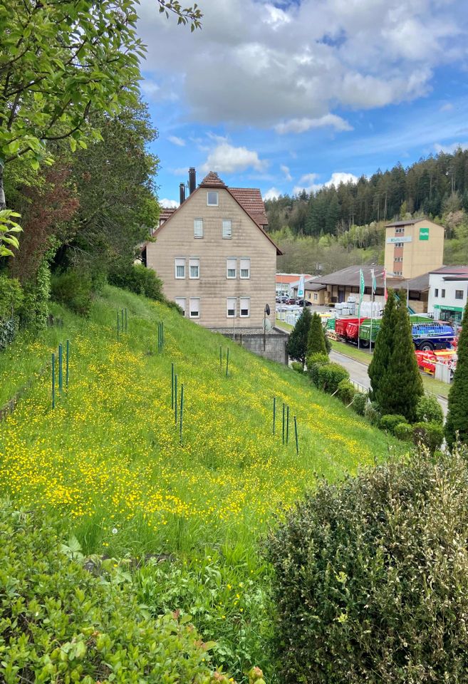 Bauplatz 736 m² in Altensteig MFH in zentraler Südhanglage in Altensteig