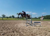 Top Umsteiger Pferd / Stute Mecklenburg-Vorpommern - Kramerhof Vorschau