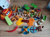 ⚡riesiges Playmobil 123 Set Arche Zoo Spielplatz Safari Bayern - Herzogenaurach Vorschau