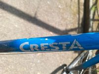 Blauer CRESTA Fahrrad Bayern - Augsburg Vorschau
