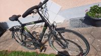 Herren Fahrrad 28 Zolll Bayern - Freystadt Vorschau