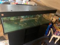 Aquarium L150cm B50cm H40cm 150/50/40cm Unterschrank Filter Baden-Württemberg - Oberstenfeld Vorschau