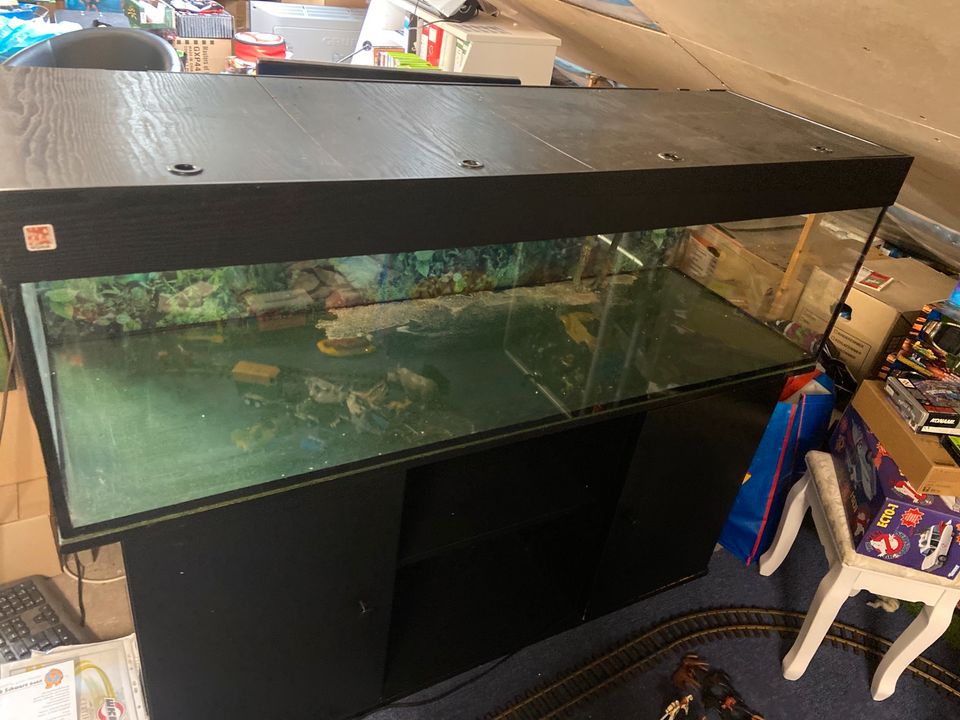 Aquarium L150cm B50cm H40cm 150/50/40cm Unterschrank Filter in Oberstenfeld