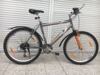 Fahrrad Bike Mountainbike MTB TERRA FOX Hardtail Bayern - Leupoldsgrün Vorschau