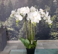 Künstliche Orchidee fast 90 cm Baden-Württemberg - Erdmannhausen Vorschau