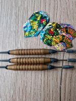 Darts / E-Darts Set 3-er Set Dartpfeile Rheinland-Pfalz - Kaiserslautern Vorschau