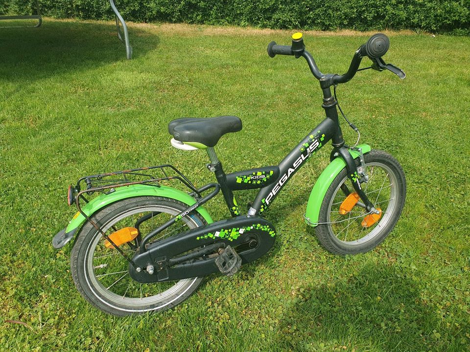 Pegasus Kinderfahrrad 16 Zoll in Brandenburg an der Havel