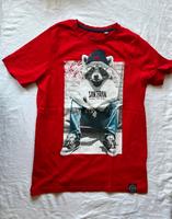 Tshirt mit Waschbär von Skate Nation by C&A Gr. 146/152 - rot Hannover - Ricklingen Vorschau