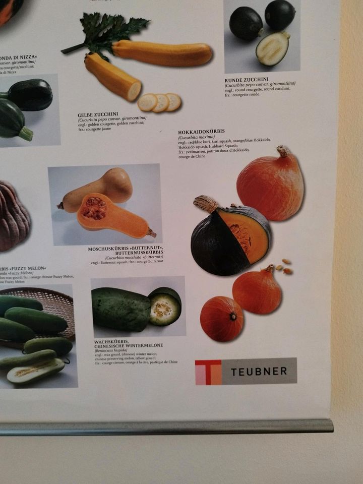 Plakat / Poster Gemüse / Kürbis, Melone, Gurke in Hamburg