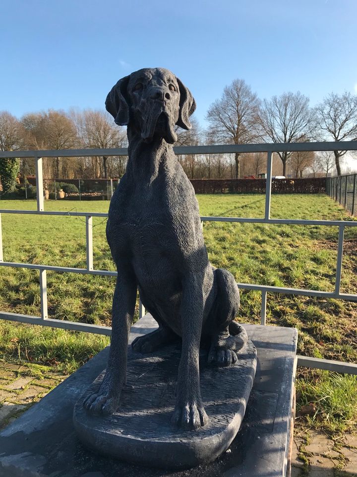 Dogge 106cm 200kg Steinguss deutsche Dogue dänische Dogo Hatzrüde in Schönefeld