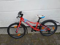 Superior Paint XC 20 Zoll Shimano 6-Gang Fahrrad rot 6-9 J. Bayern - Weismain Vorschau