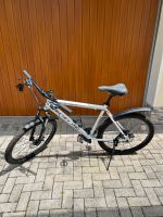 KS Cycling Fahrrad Mountainbike Hardtail MTB GTZ 3850 Baden-Württemberg - Murg Vorschau