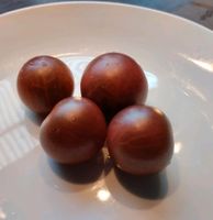 Samen Saatgut Black Cherry Tomate Nordrhein-Westfalen - Rheine Vorschau