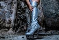 Pleaser Delight-3010G silber Duisburg - Meiderich/Beeck Vorschau