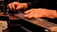 Gitarrist, Dobro, Slide, Mandoline etc. sucht Akustik Formation Kreis Ostholstein - Eutin Vorschau