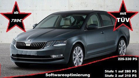 Softwareoptimierung  2.0 TFSI / TSI_VW_Audi_Seat_Skoda_ mit TÜV in Hoyerhagen