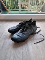 Adidas Copa Sense. 1 FG Bayern - Landshut Vorschau