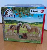 Schleich Pferdefamilie Haflinger auf Weide mit zaun 72131nim ovp Baden-Württemberg - Freiburg im Breisgau Vorschau